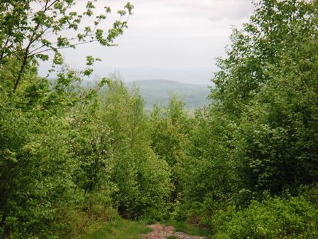 looking northeast from the Hogback land